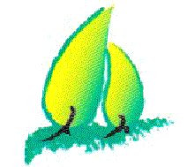 有限会社ことほぎ公式ホームページ